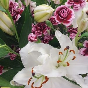 Meet your Posher, Lillie